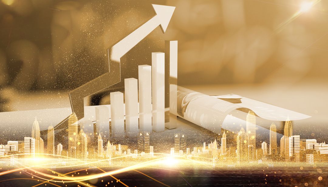 大豆现货市场调研