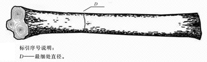 新西兰标准与我国国标在原木检尺方面的差异(图10)