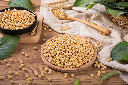大豆玉米——黑龙江现货调研