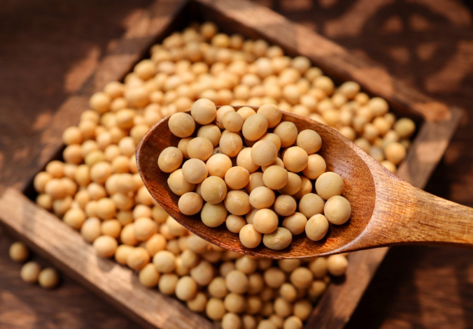 企业收购不积极 价格低开低走(图1) 企业收购不积极 价格低开低走(图1)