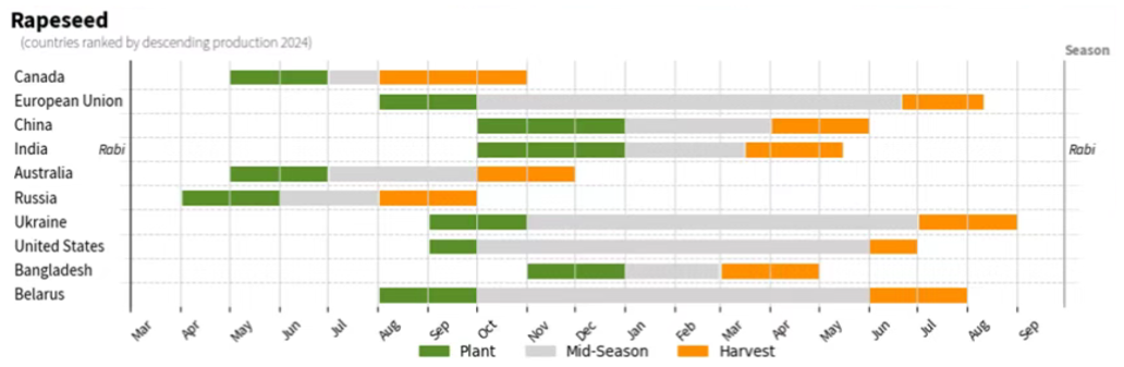 厄尔尼诺、拉尼娜对油菜籽主要出口国影响复盘(图2)