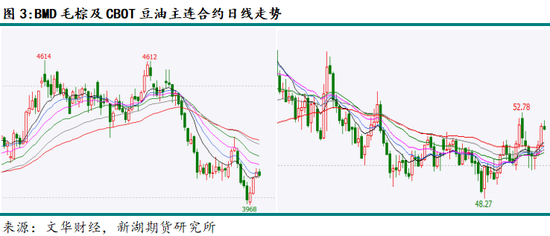 新湖农产（油脂）12月报：暂时反弹， 趋势走强仍需等待(图3)