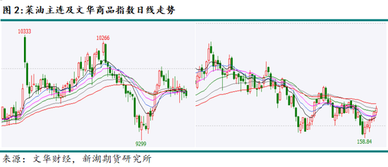 新湖农产（油脂）12月报：暂时反弹， 趋势走强仍需等待(图2)