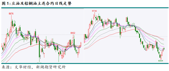 新湖农产（油脂）12月报：暂时反弹， 趋势走强仍需等待(图1)