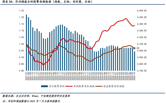 【商品策略年报】变局之中，分化延续(图43)