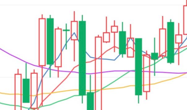棉花期货交易中如何进行风险管理？(图1)