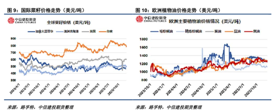 【菜系周报】关注后期澳菜籽出口倾向(图5)