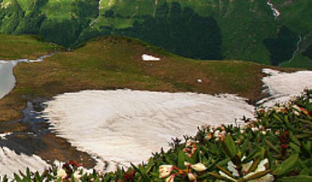 沪镍期货的交易规则是怎样的？(图1)