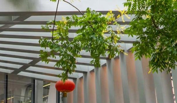 在进行沪铝期货交易前，新手应该了解哪些知识？(图1)