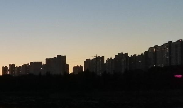 焦煤现货市场调研