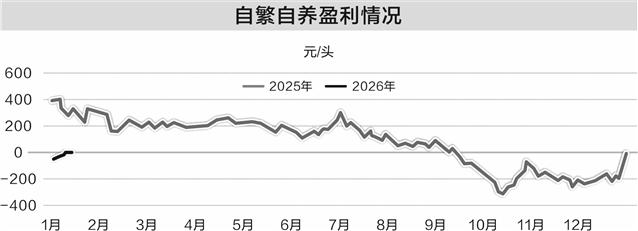 产能充裕叠加需求不足 上半年生猪市场或延续磨底(图2)