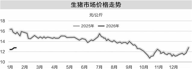 产能充裕叠加需求不足 上半年生猪市场或延续磨底(图1)