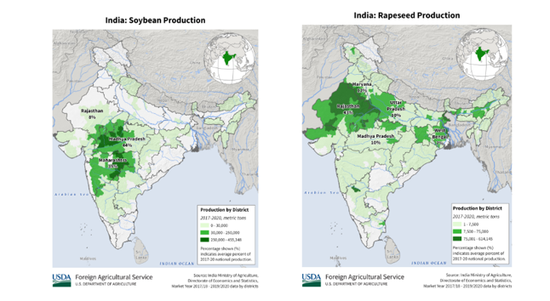避险情绪回落，关注全球植物油头号买家行为边际变化(图5)
