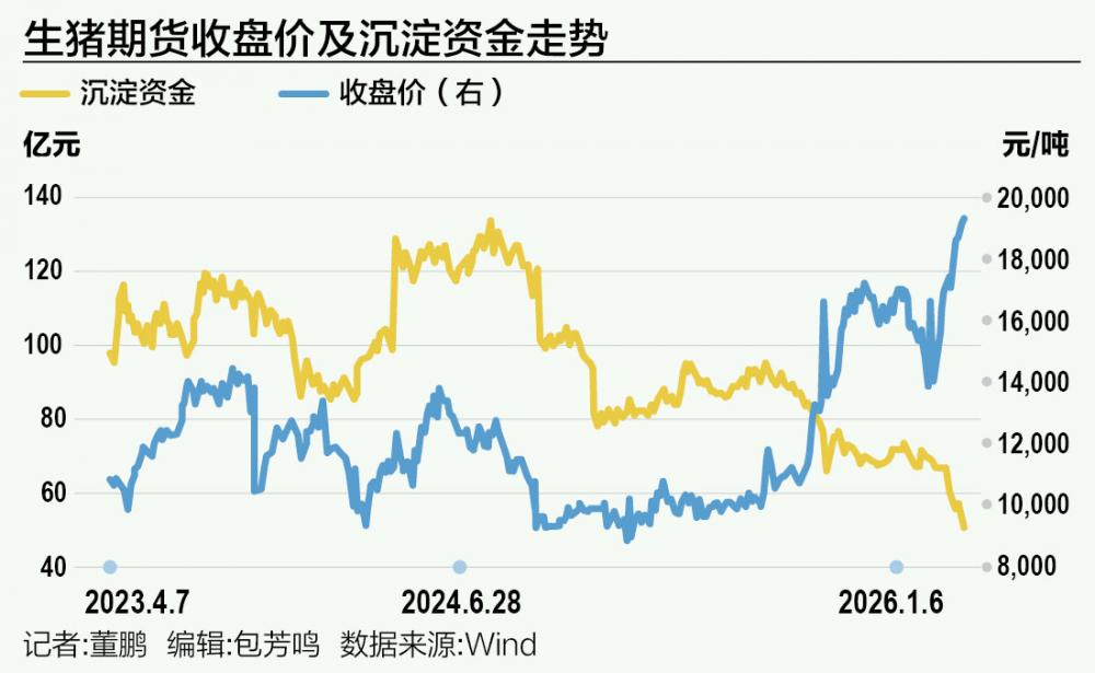 “多头不死、空头不止” 逾百亿资金鏖战生猪期货(图1)