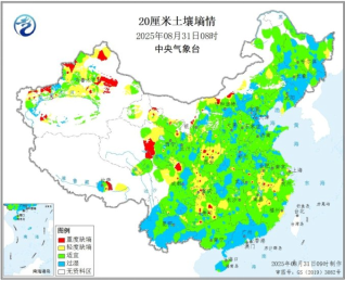 资料来源：东海期货整理