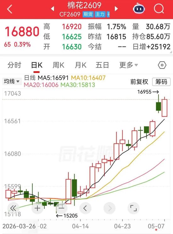 郑棉继续冲高，底气何在？(图1)